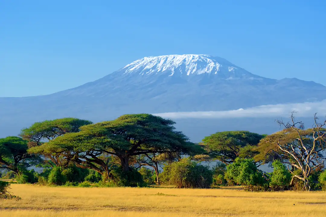 Trek Mt Kilimanjaro by Umbwe Route